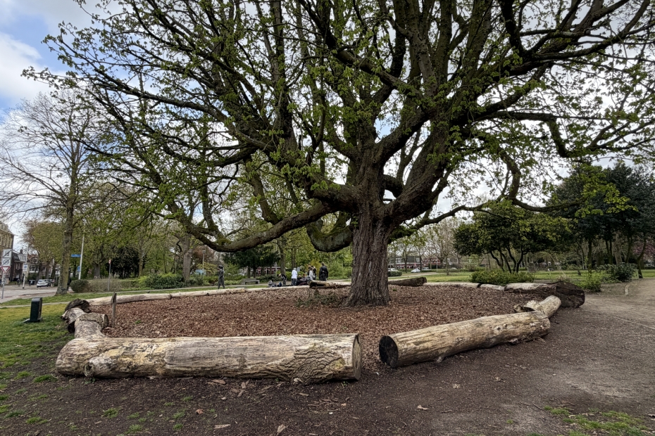 Voorbeeld barricadeboom  in Julianapark in Nijmegen-Oost (wijk Altrade)