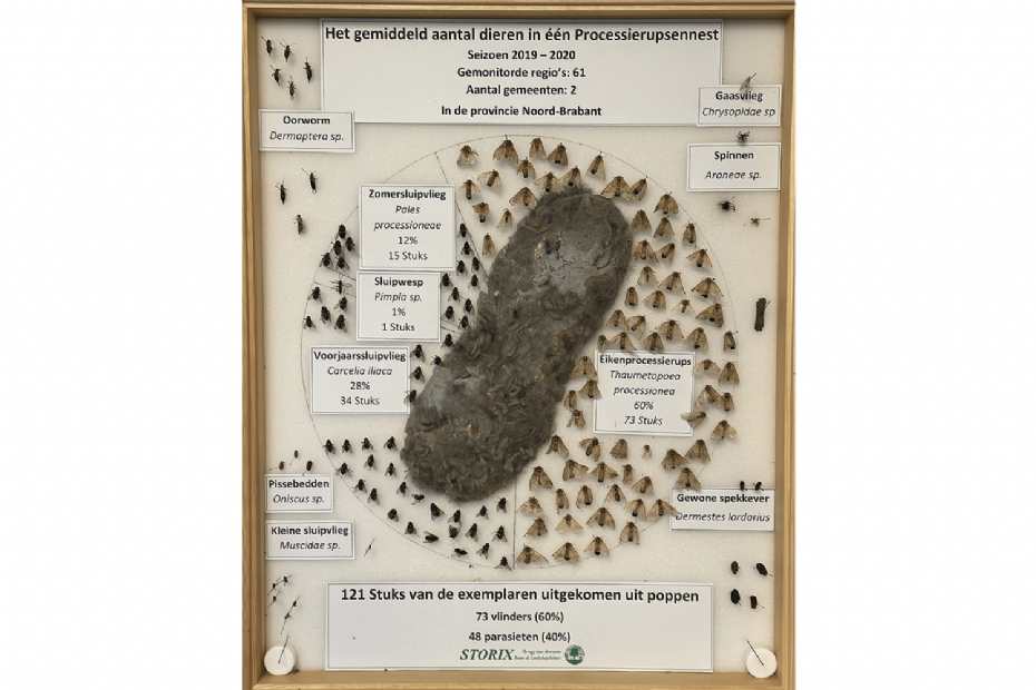 Taartdiagram, dieren in een EPR nest Seizoen 2019-2020