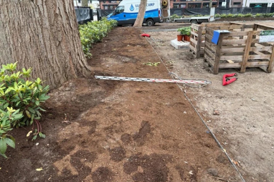Toezicht bij aanlegwerkzaamheden en boombescherming. Foto: Tree-o-logic