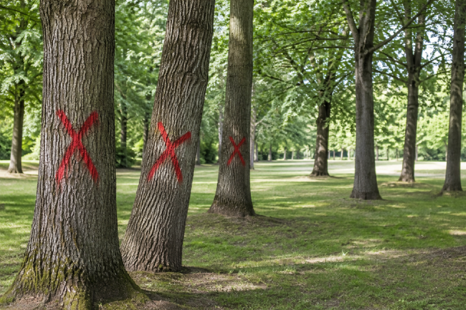 Beeld ter illustratie, gegenereerd met AI