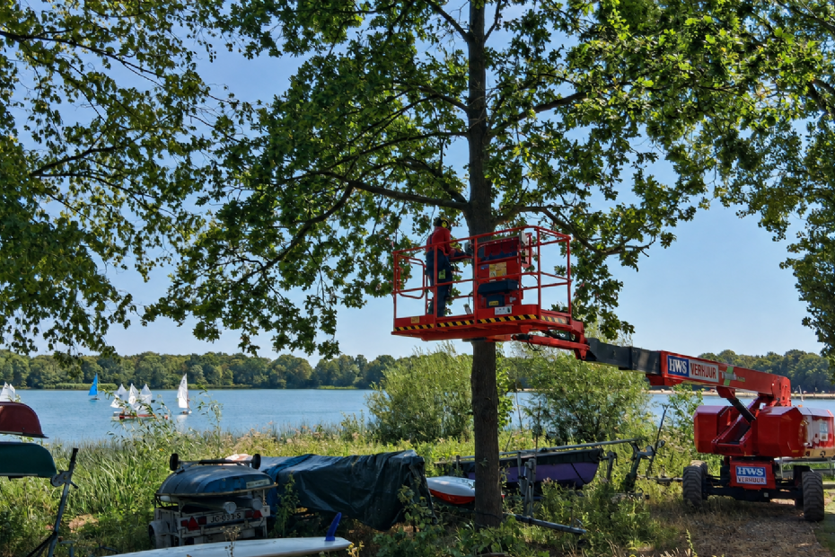 Snoeiwerkzaamheden van Boomtotaalzorg in een recreatiegebied van de gemeente Den Bosch