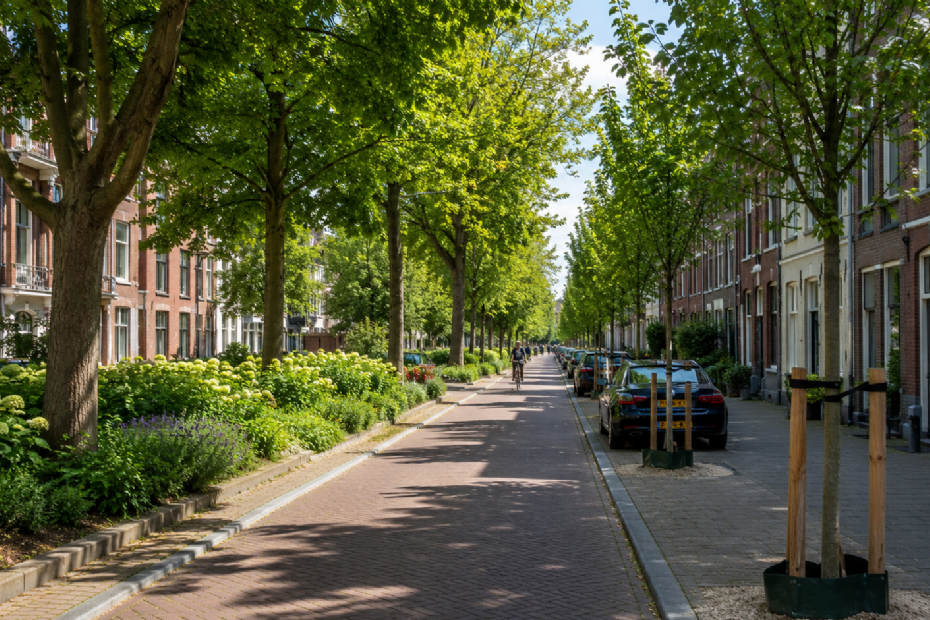 Deze afbeelding is gegenereerd door AI